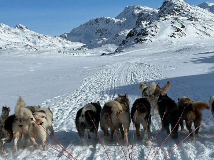 Dog sledding in the backcountry of Sisimiut