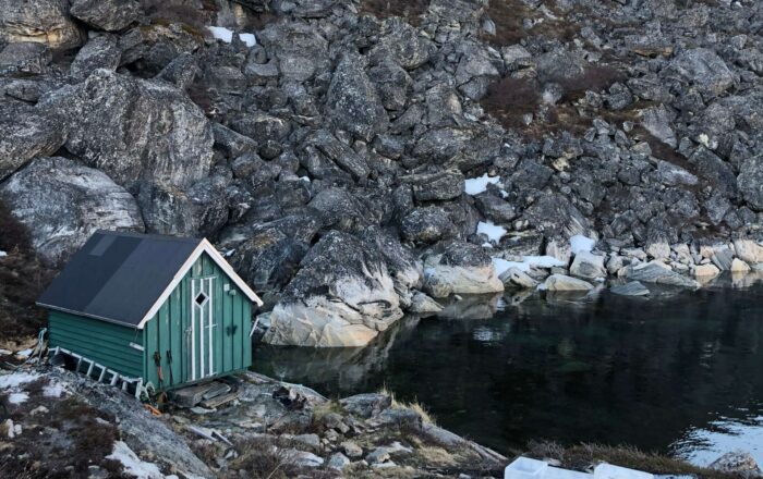 shelter 2