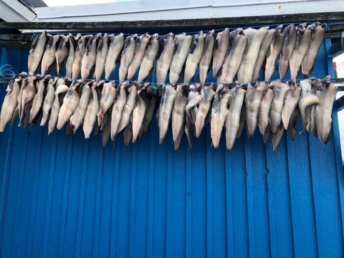 The process of drying self-hunted fish