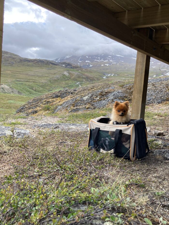 I Camp Kangiusaq er der plads til alle