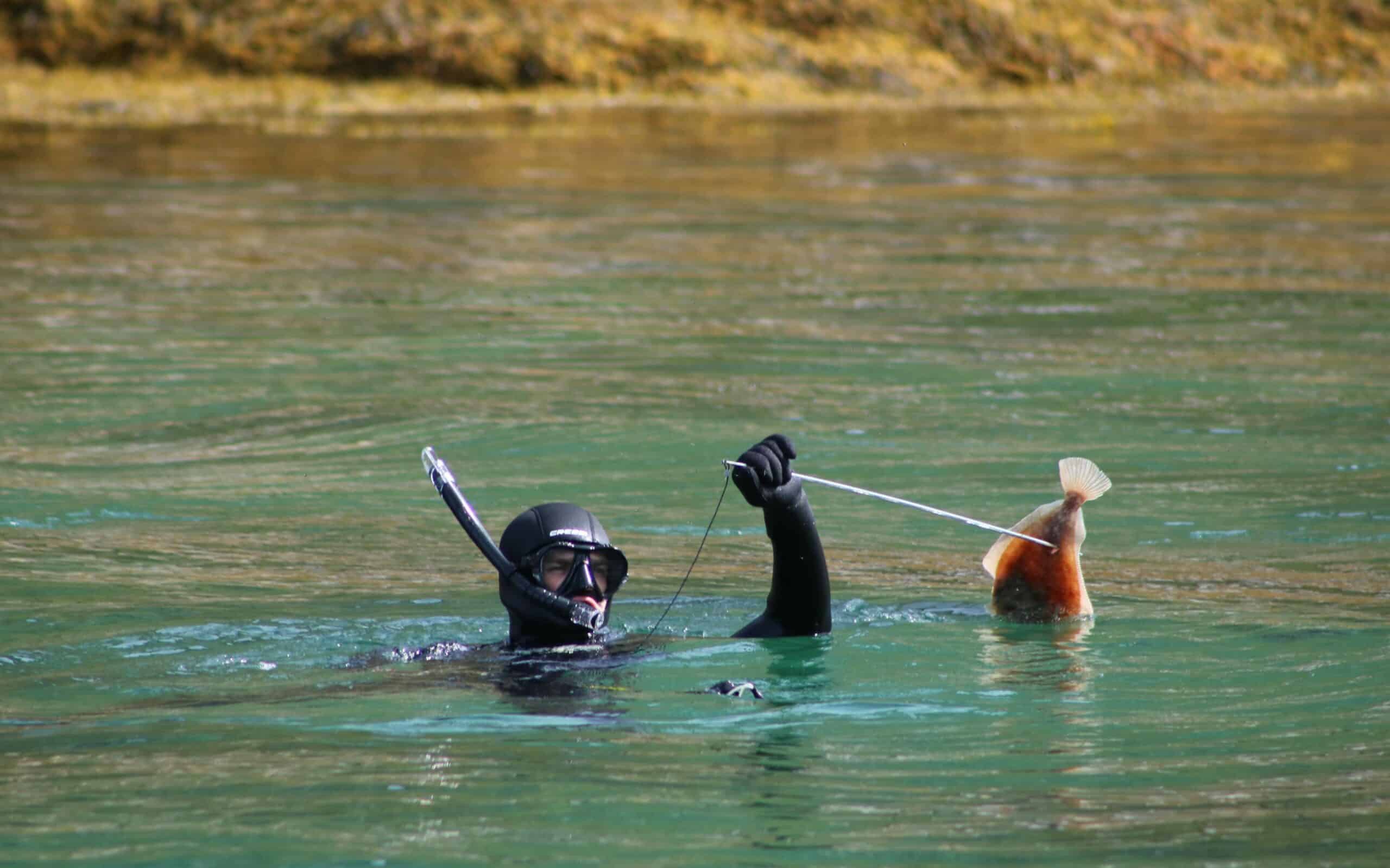 Halibut harpoon fishing as water sport in Greenland