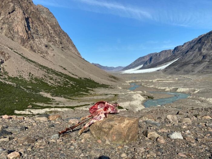 Eternity Fjord hunting