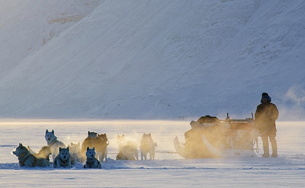 sirius dog patrol in Greenland